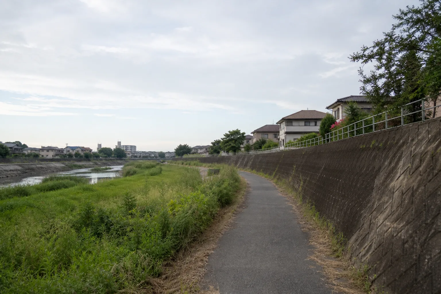 A quiet riverside path on an overcast summer morning